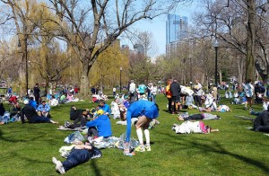 The Boston Common after a very uncommon day
